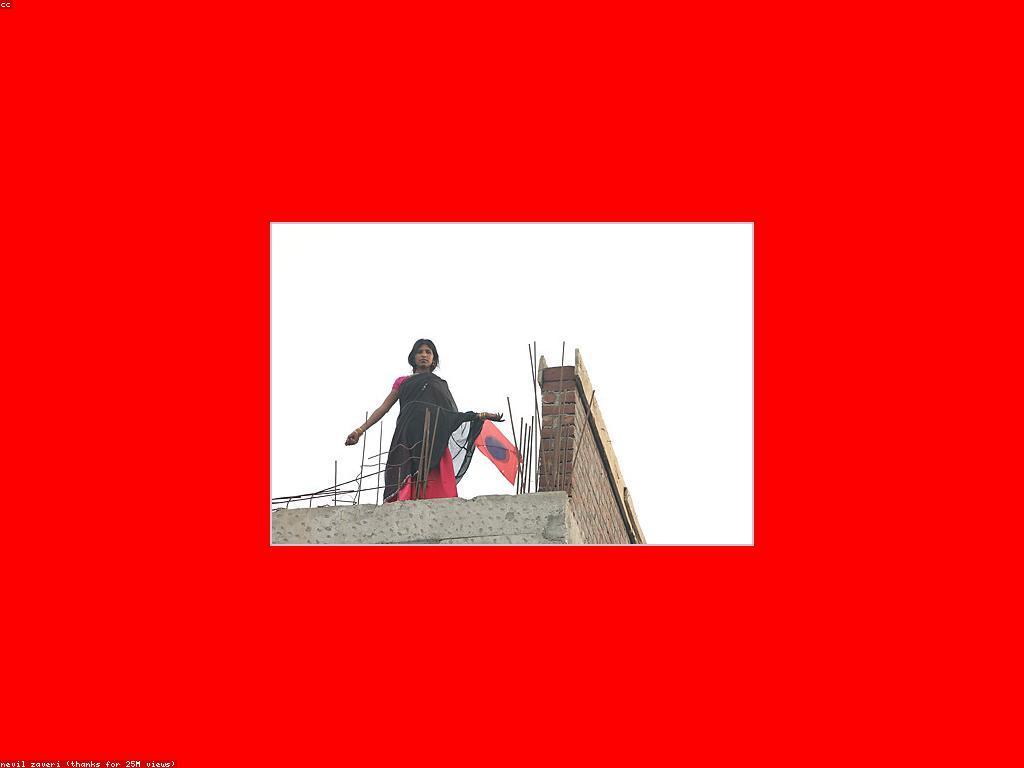 ការយល់ដឹងអំពីស្លាបព្រិលល្បែង