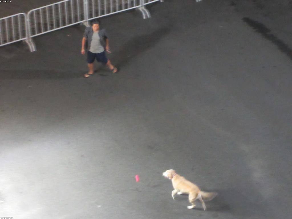 ពិនិត្យល្បែង: ការវិភាគល្បែងដែលមិនគួរឱ្យខកខានក្នុងឆ្នាំ2023