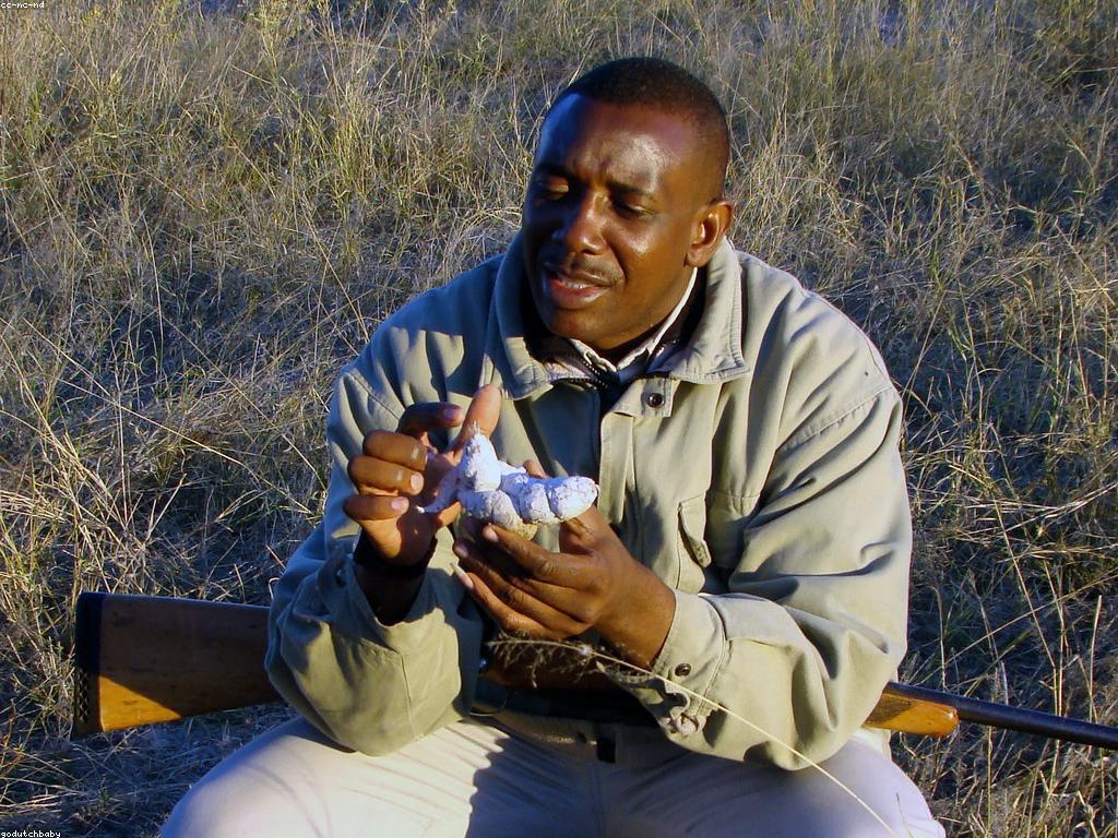 ការណែនាំល្បែង: ជំហានដំបូងសម្រាប់ការលេង