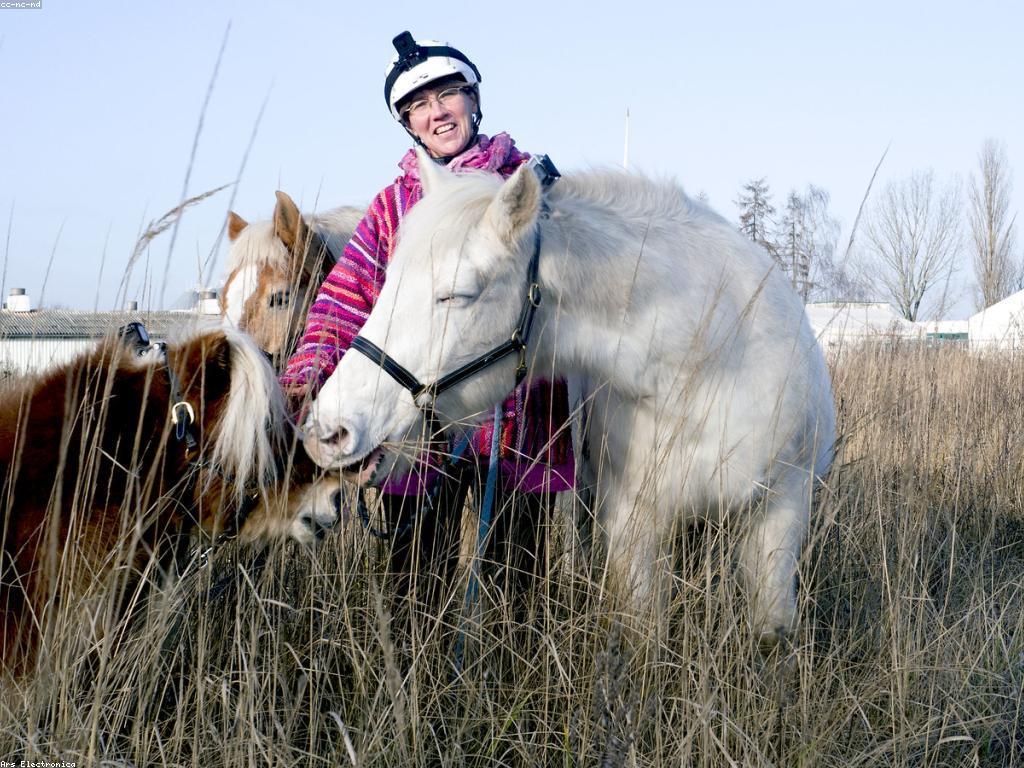 ការស្រាវជ្រាវអំពីស្លាបព្រិលល្បែង