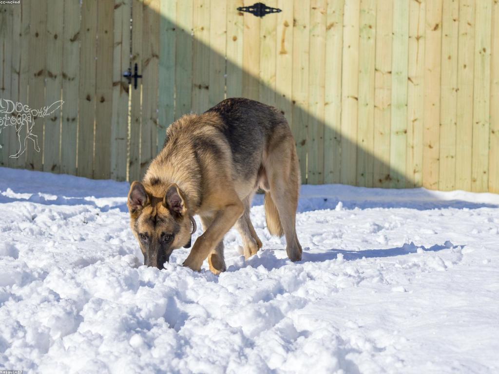 ស្លាបព្រិលល្បែង: ការផលិត និងការប្រើប្រាស់